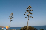 21 pogled
