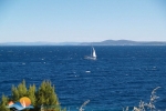 24 pogled