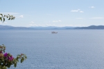 pogled bungevilija 1